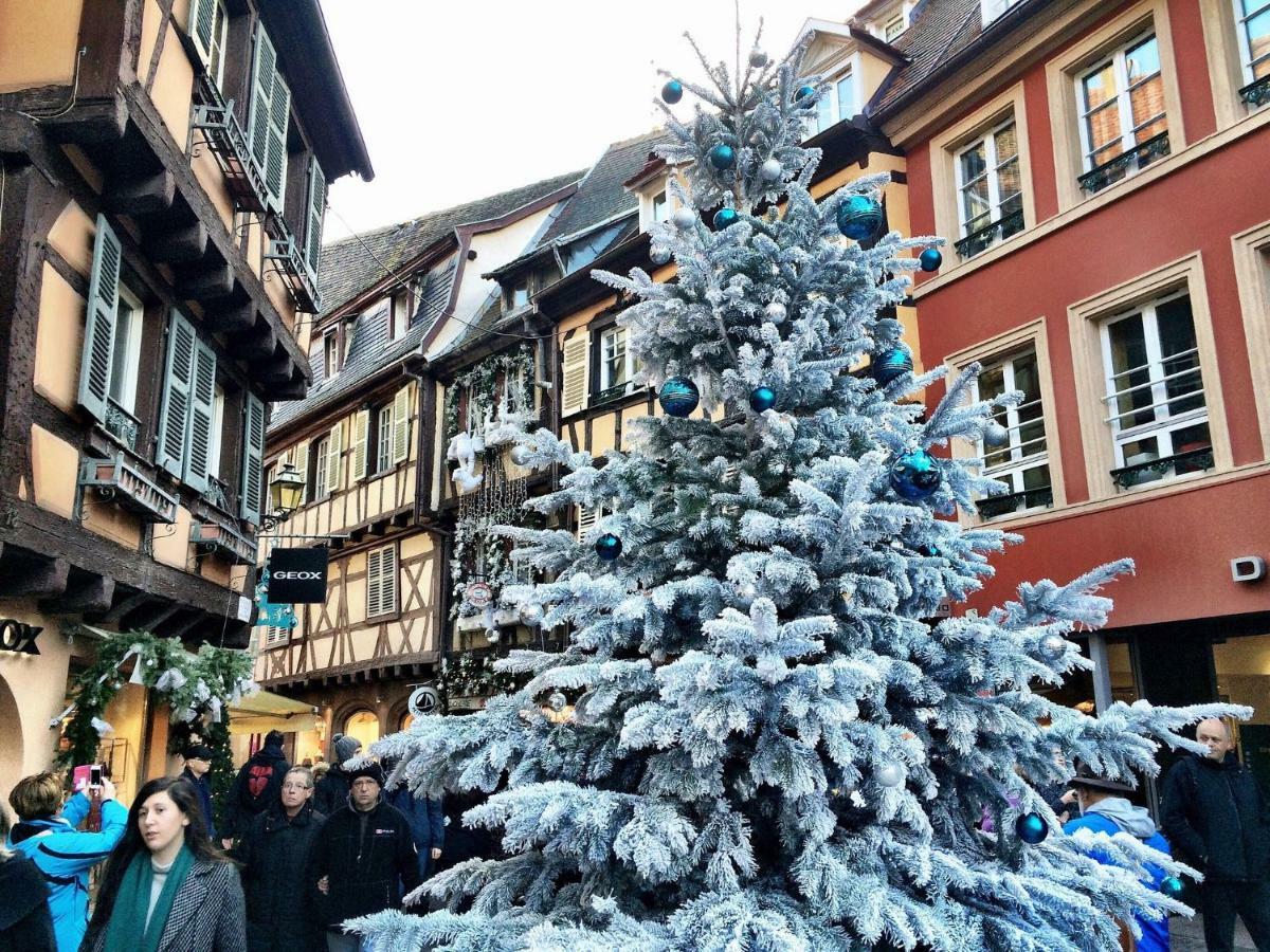 Gite Atelier De Hansi - Colmar Centre Exteriér fotografie